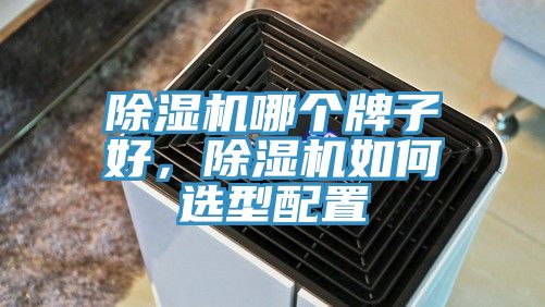 除濕機哪個牌子好，除濕機如何選型配置