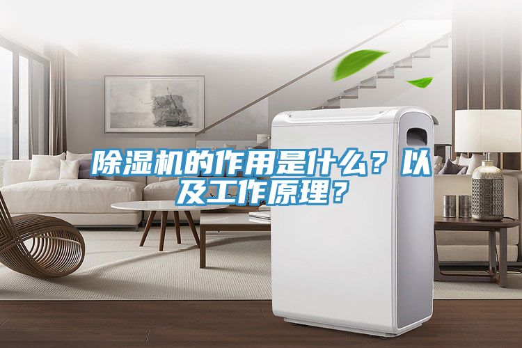 除濕機的作用是什么？以及工作原理？