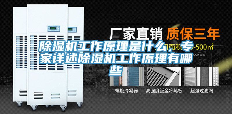 除濕機工作原理是什么，專家詳述除濕機工作原理有哪些