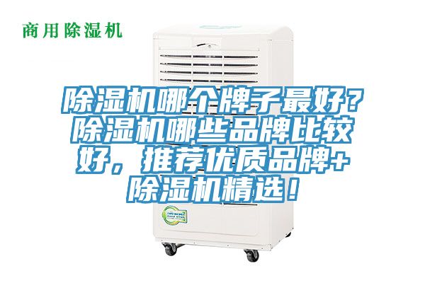 除濕機(jī)哪個(gè)牌子最好？除濕機(jī)哪些品牌比較好，推薦優(yōu)質(zhì)品牌+除濕機(jī)精選！