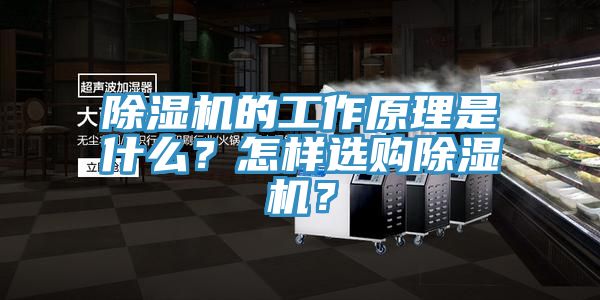 除濕機的工作原理是什么？怎樣選購除濕機？