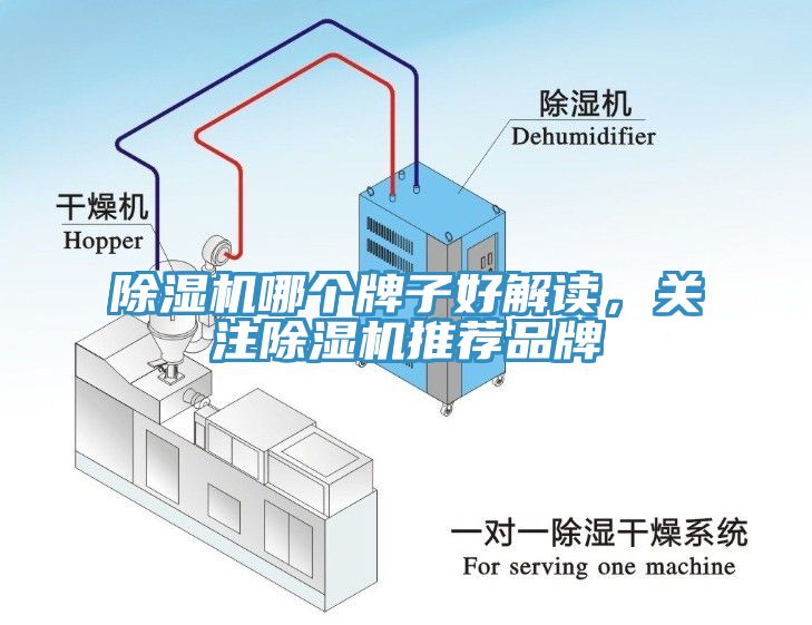 除濕機(jī)哪個(gè)牌子好解讀，關(guān)注除濕機(jī)推薦品牌