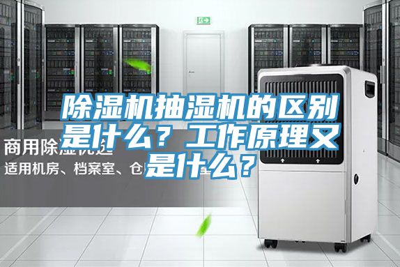 除濕機抽濕機的區(qū)別是什么？工作原理又是什么？